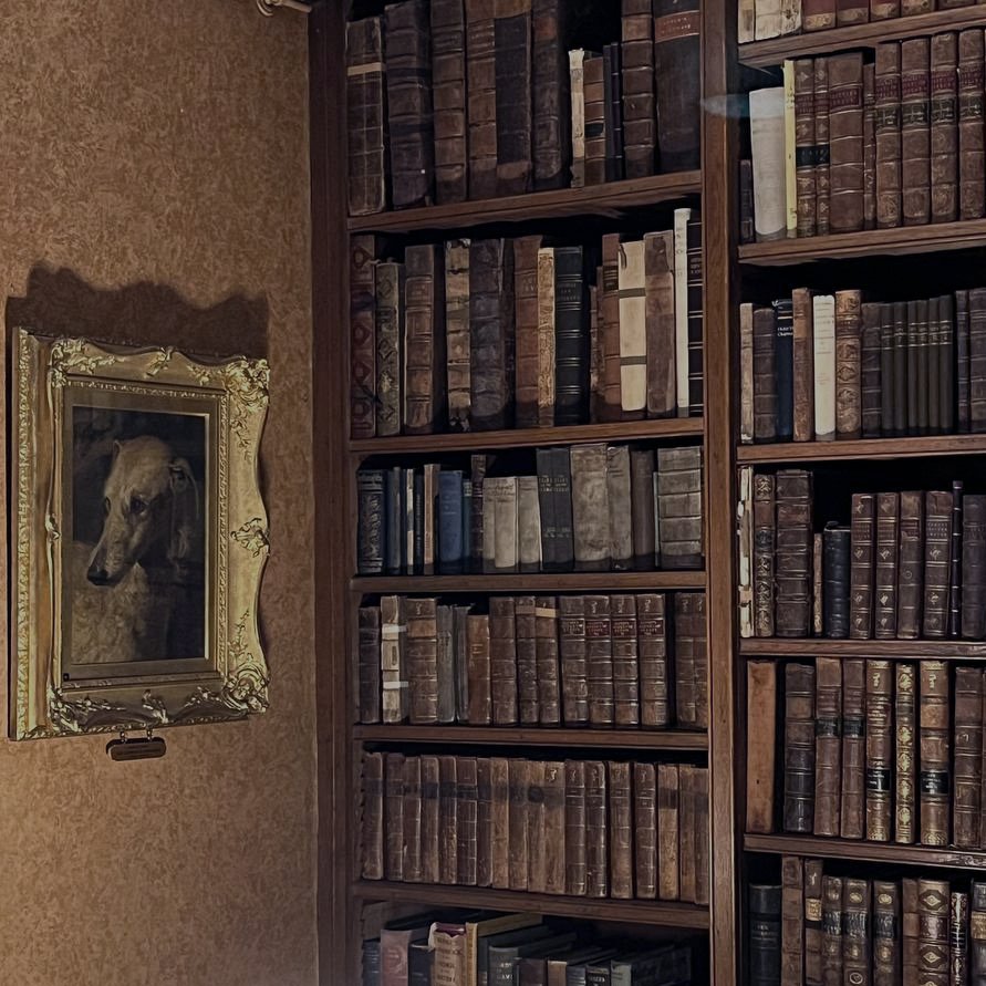 Image showing an image of a dog in libruary