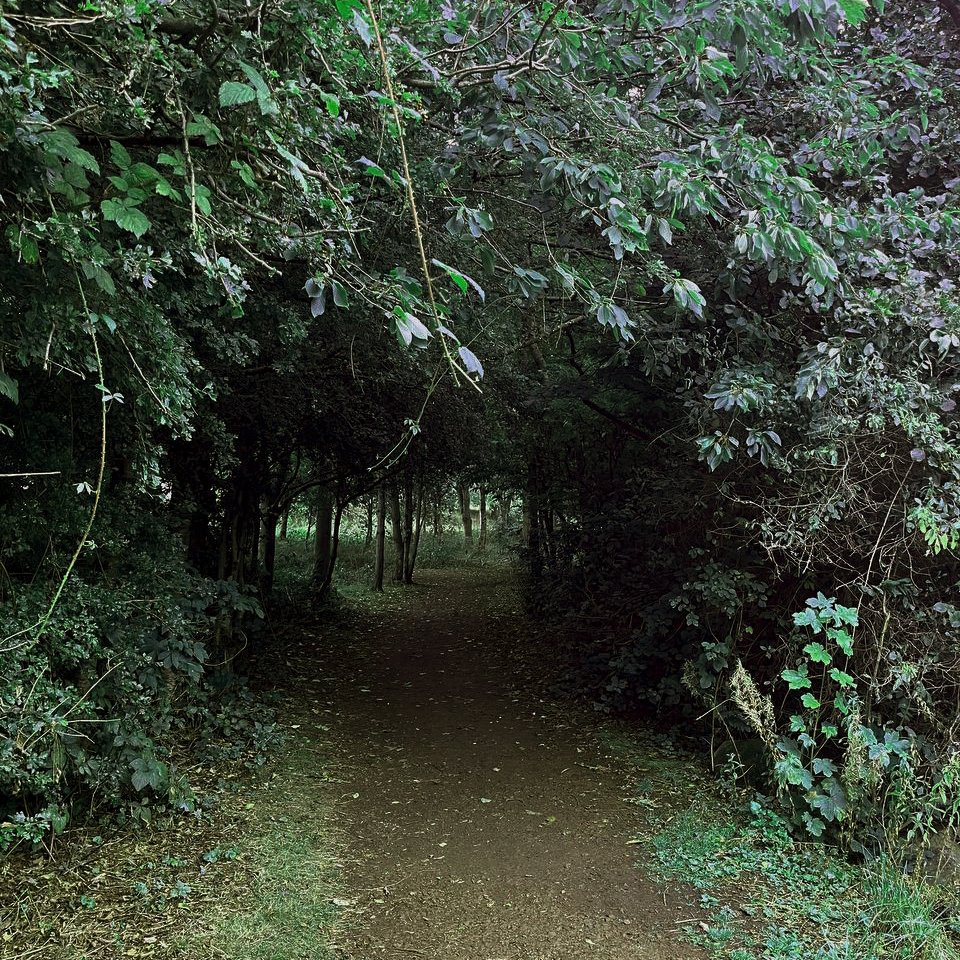 Green walk in Edinburgh