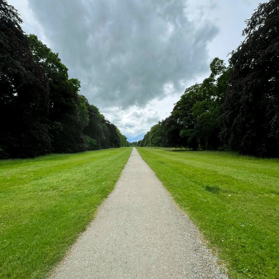 Fisheye view of a road