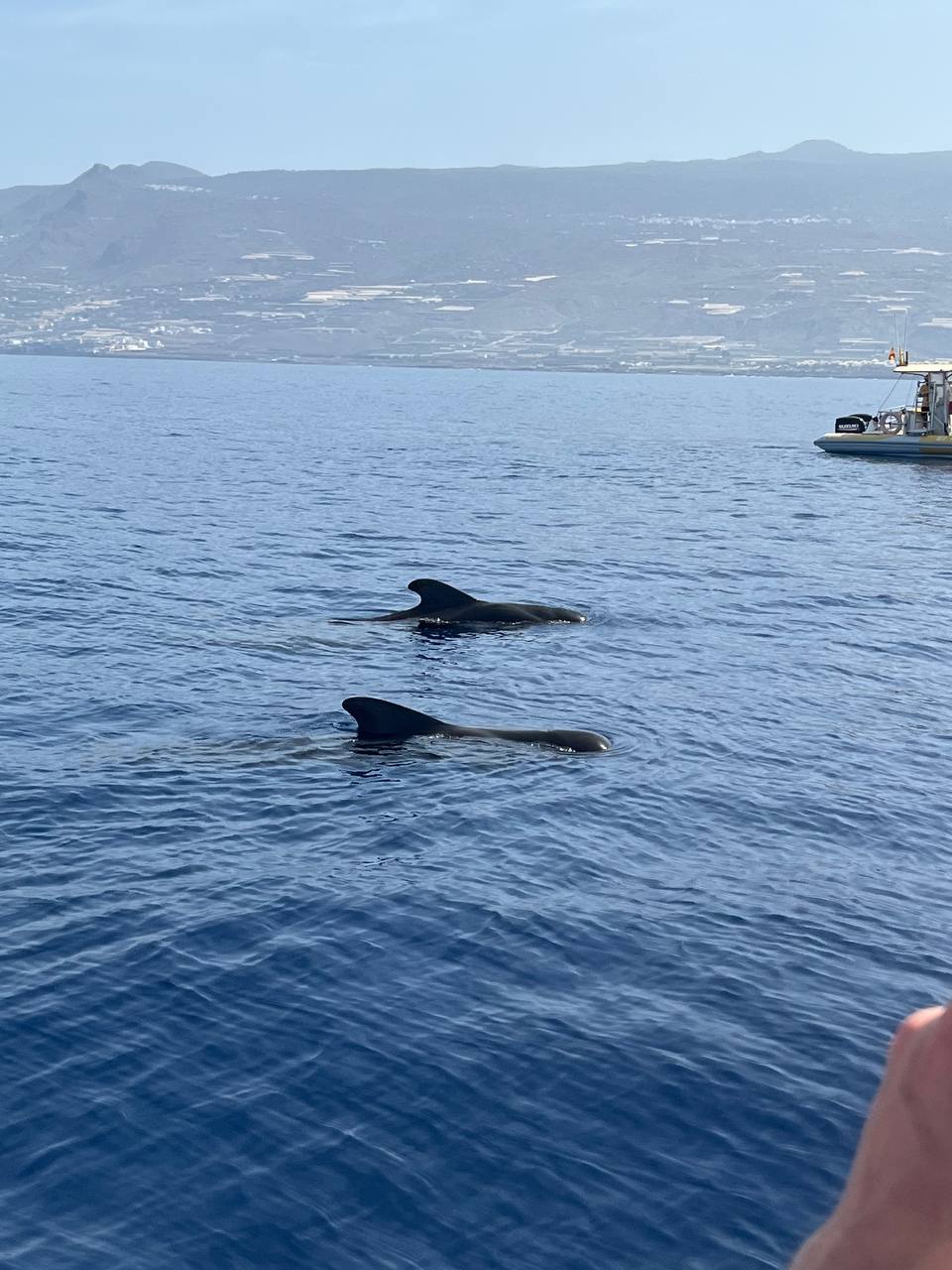 Toxic editing of a photo taken in Edinburgh