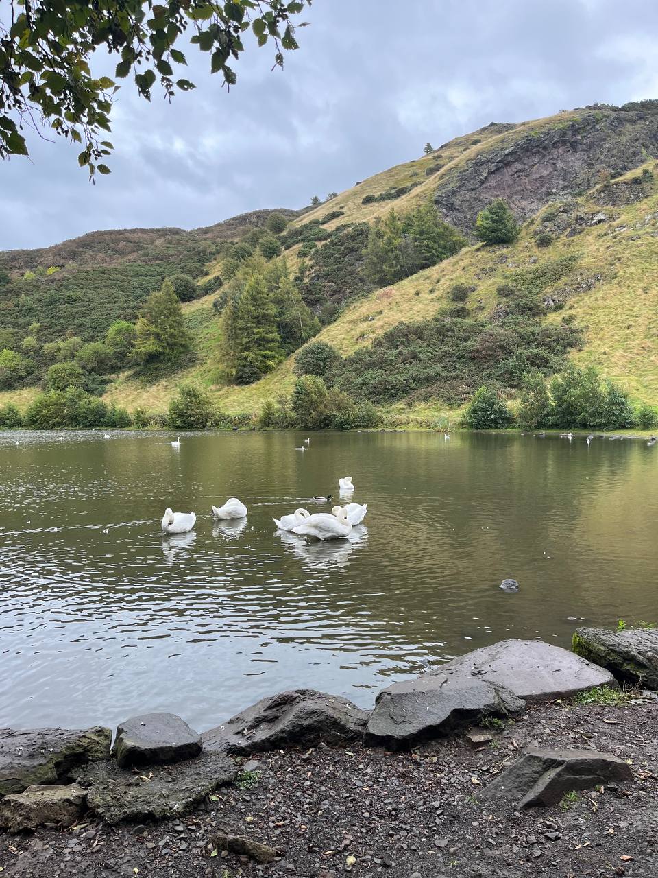 Massive rock in the sea